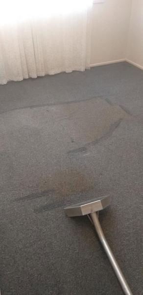 A carpet cleaning wand being drawn across the carpet of an empty room