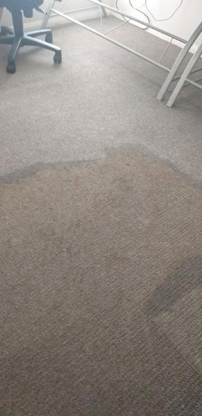 Commercial carpet running up to a tiled edge in an office