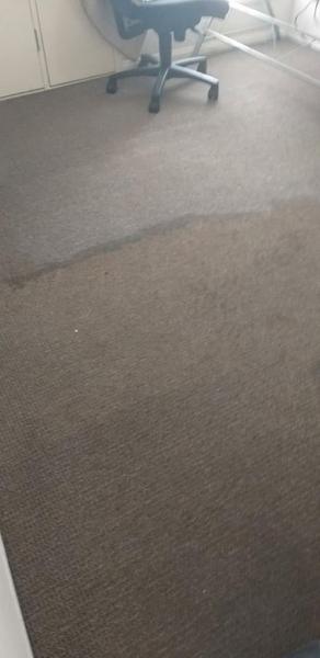Carpet running up to a tiled edge in an empty room