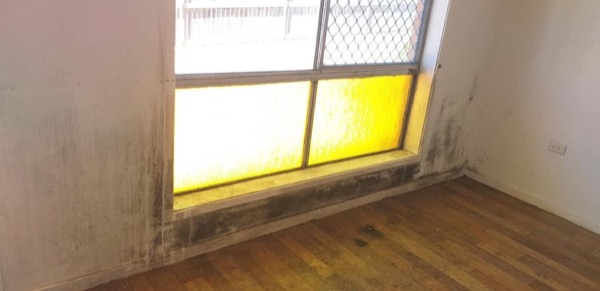 The same wall and window frame with dark mould spotting across the paintwork