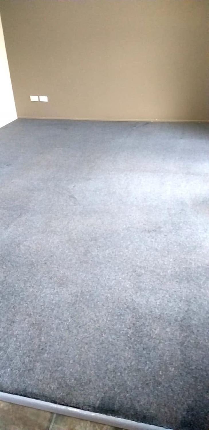 Grey carpet in an empty lounge room, even in colour across the floor