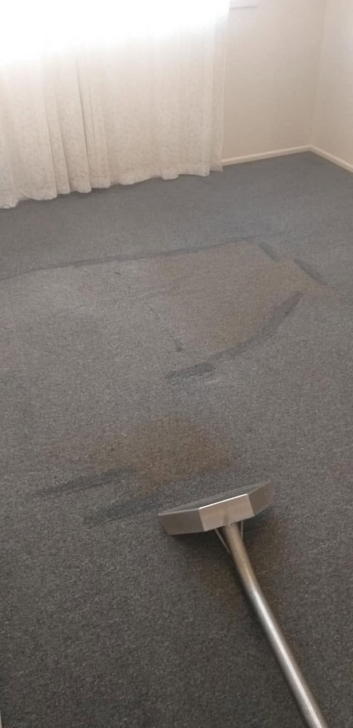 A carpet cleaning wand being drawn across the carpet of an empty room
