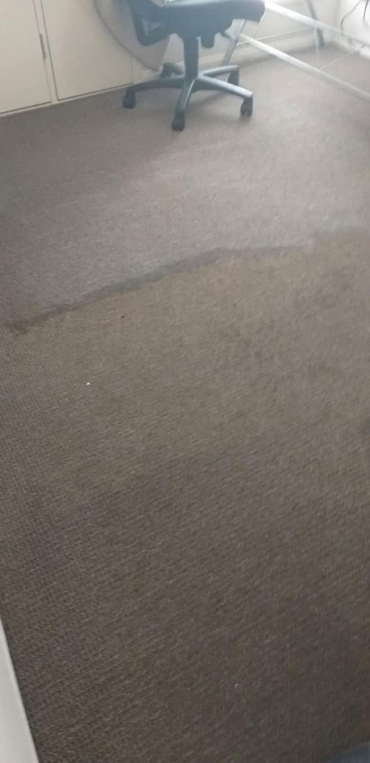 Carpet running up to a tiled edge in an empty room