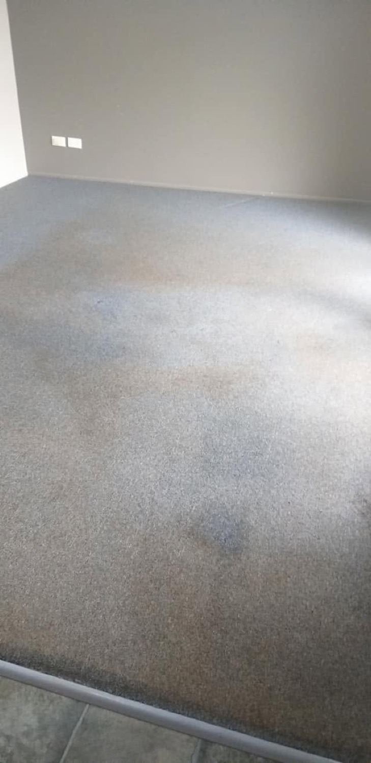 The same lounge room carpet with dark traffic marks across the middle of the floor